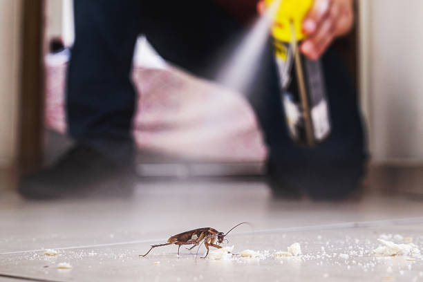 Pest Control for Restaurants in Blaine, WA